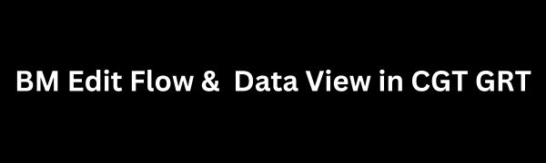 BM Edit Flow &  Data View in CGT GRT